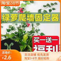 Hook wall Self-adhesive Sticky Hook Powerful Adhesive Wall Green Lori Fixer Wire Rationalless Punch-Free Punch-Free Hook