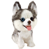 Реалистичная карта-маны, плюшевая кукла, детская игрушка, США, домашний питомец, подарок на день рождения