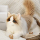 Американская карточка bean clone simulation cat doll высококачественная кукла-марионетка cat doll плюшевая игрушка подарок на день защиты детей для девочек mini 3