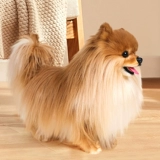 Реалистичная карта-маны, плюшевая кукла, игрушка для мальчиков и девочек, США, подарок на день рождения