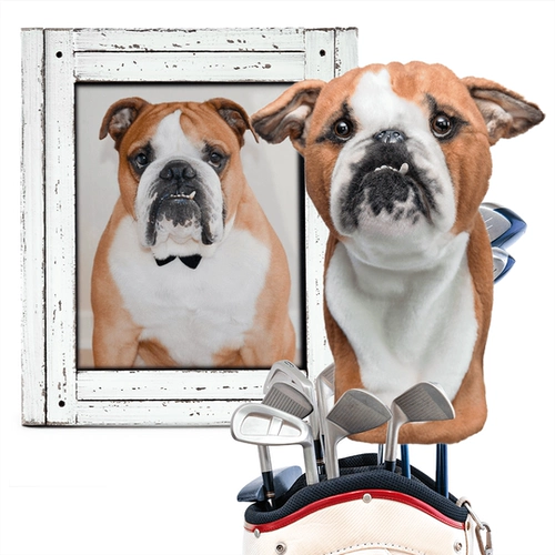 Реалистичная карта-маны, защитный чехол, шлем, делается под заказ, домашний питомец, подарок на день рождения