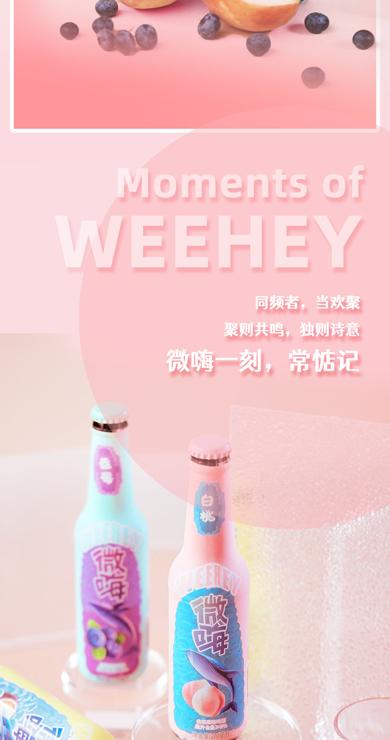 微嗨 精酿果味啤酒 2.5度 3口味组合 270ml*12瓶 图11