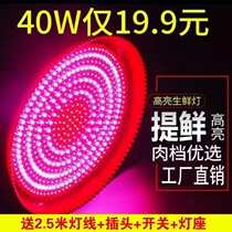 Flatlamp PorLED fresh lamp fruit lamp delicate lamp fresh meat lamp halogen meat lamp LED delicate lamp