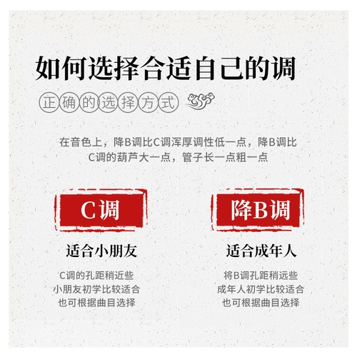 Музыкальные инструменты для начинающих для школьников для взрослых, официальный флагманский магазин