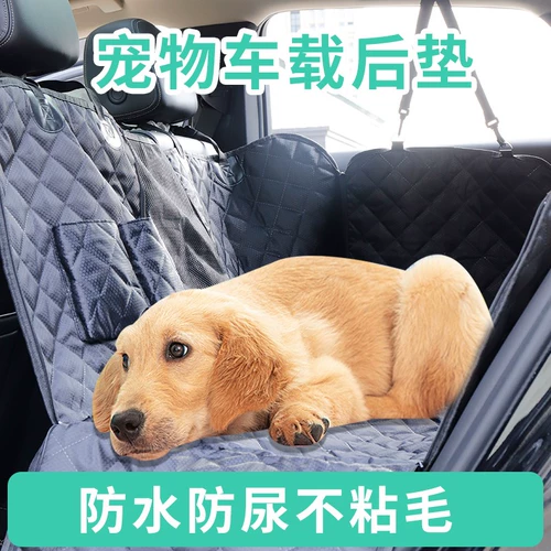 Собачья машины, несущие домашнюю панель, положительный водитель, гнездо автомобиля, в больших собачьих анти -пышных сиденьях на автомобильном артефакте