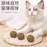 Мятная игрушка, прорезыватель, кот