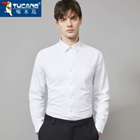 Рубашка, черный пиджак классического кроя, облегающий крой, большой размер