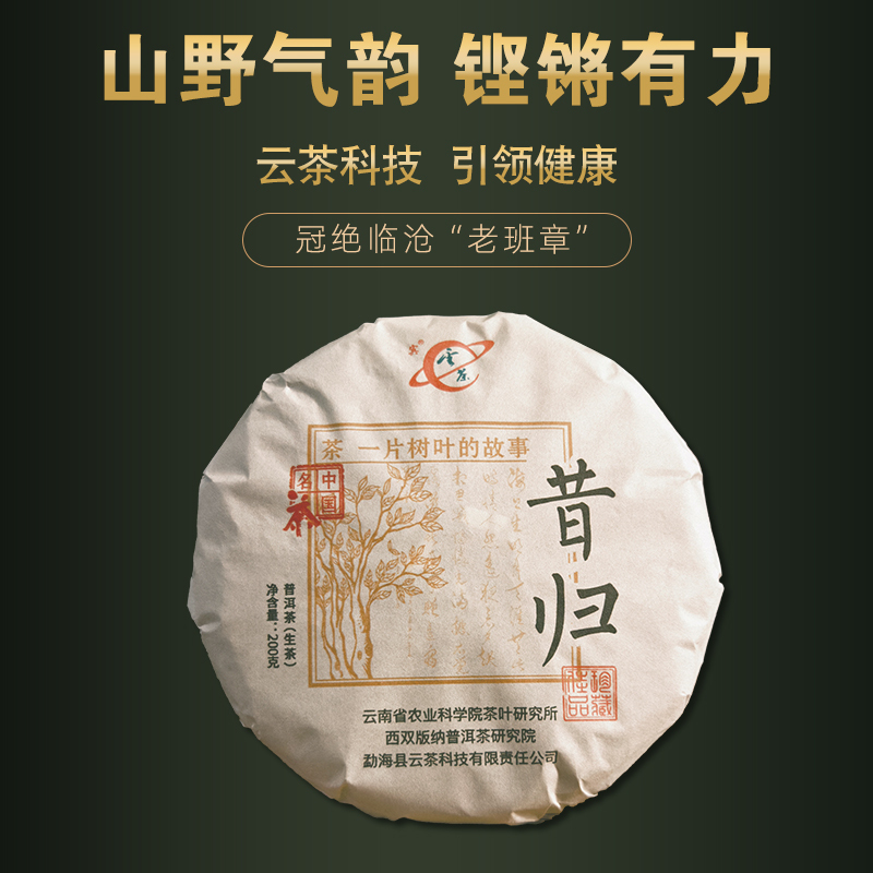 Promotional Price】2024 Yuncha Technology Lincang Xigui Manglu Mountain Spring and Autumn Ancient Tree Pu'Er Raw Tea 200g Cake Tea