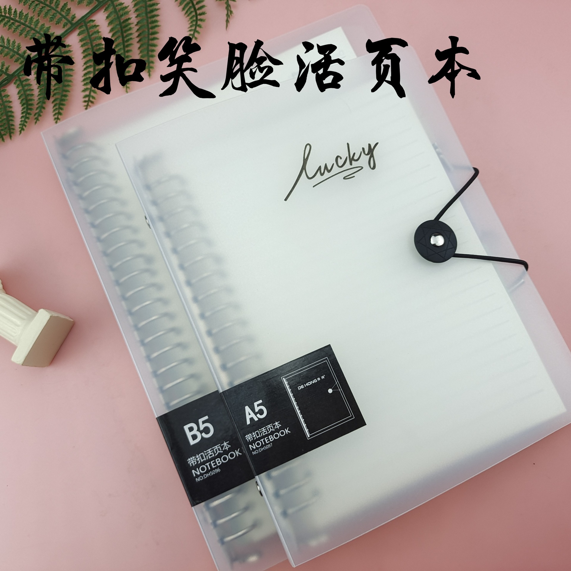 b5 Page Mesh Mesh blank page shell transparent shell of the transparent shell of the current core notebook