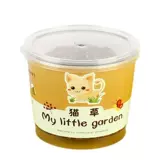 小豆丁DIY绿植小盆栽办公室桌面植物盆景儿童小礼物天气可爱的