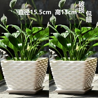 Два больших водяных ряда