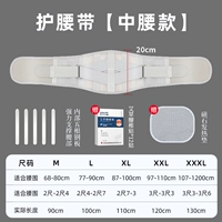 Средняя талия+нагревательная площадка+поясничная поясничная позвоночная наклейка [5 стальная пластинчатая опора/давление на ремешка]]