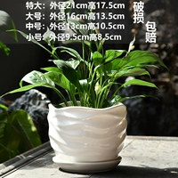 Единственная большая чистая белая волна