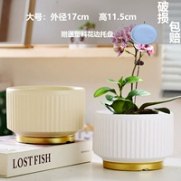 Два больших белых+лимонных матовых (отправьте поднос)