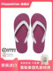 hippobloo泰国乳胶拖鞋夏外穿人字拖女防滑防臭沙滩简约平跟凉鞋