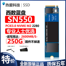 WD Western Digital Blue Disk SN550 570 250G M 2 PCIE NVME SSD Notebook Solid State Drive m2