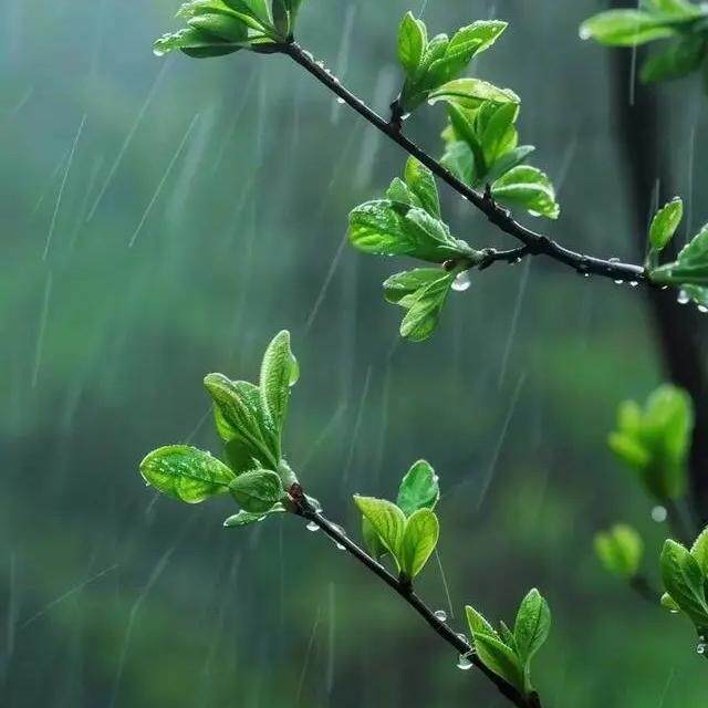 山谷有雨