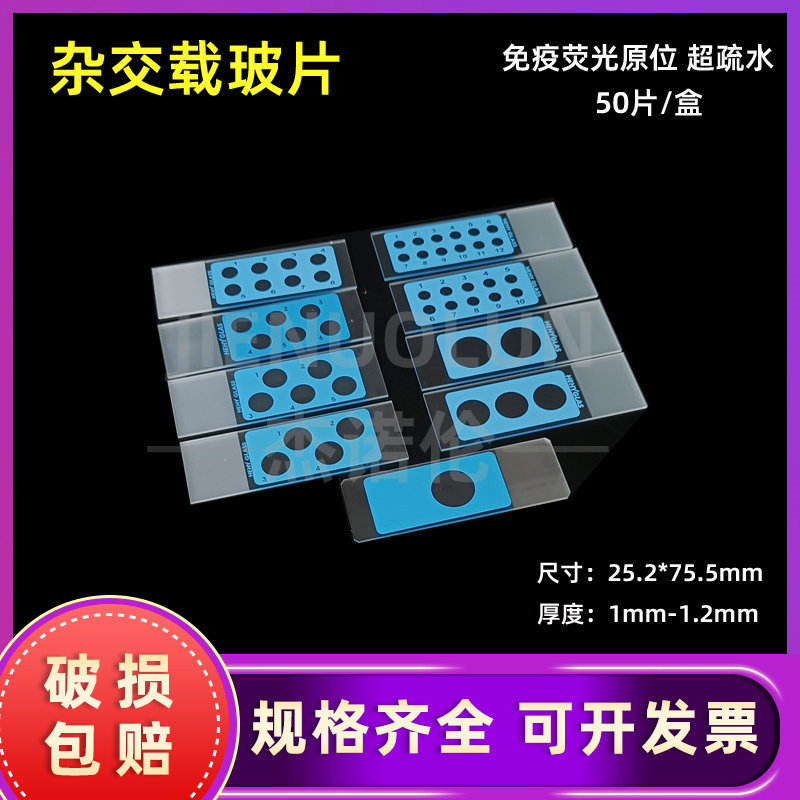 免疫荧光原位杂交载玻片 多孔载玻片  诊断载玻片，抗原片 50片/盒