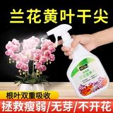 Lanhua Специальные удобрения питания жидко