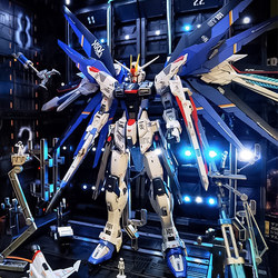 Gundam Model Assembly Hg New Strike Freedom Red Heretic Figure Toy Unicorn Mecha Mg
