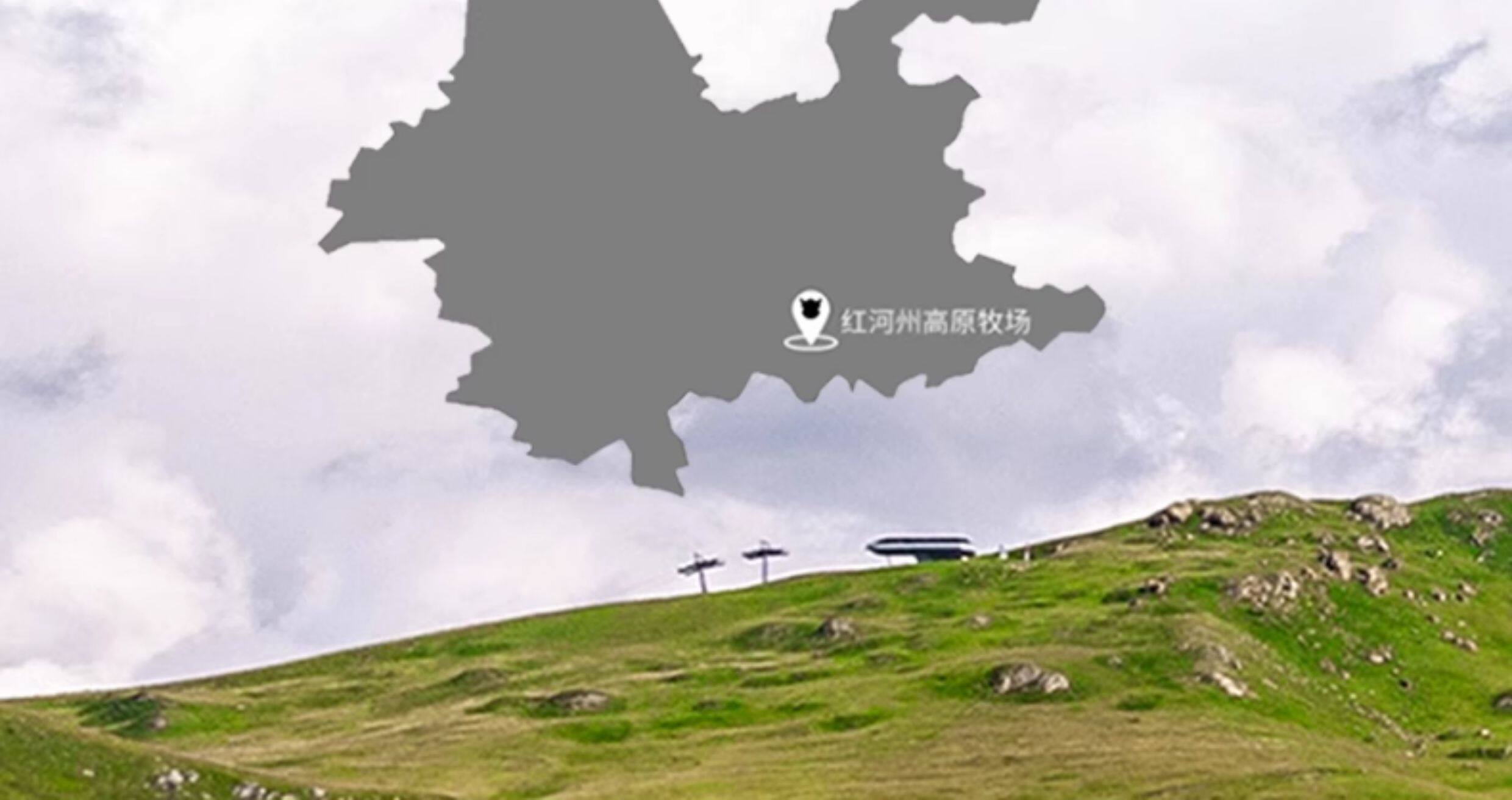 安享好物 安享B级纯奶-乍甸白金纯牛奶 国标 