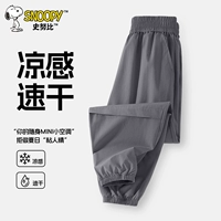 Железно-серый/сплошной цвет