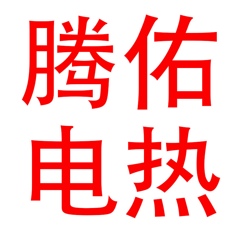 腾佑电热仪表厂的LOGO