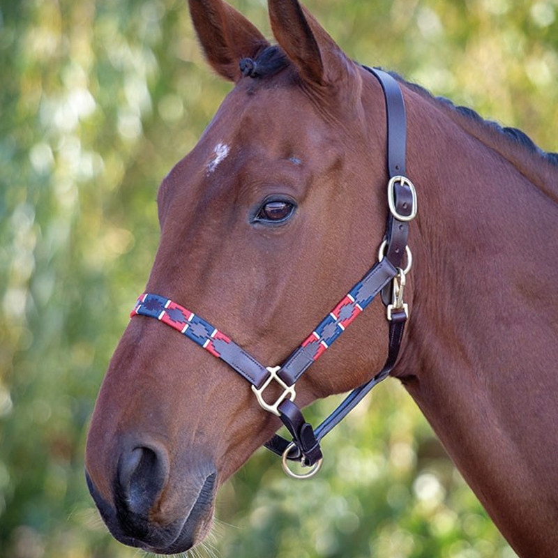 British Shires-Polo cowhide bridle head (Blenheim) hantu harness 8218029