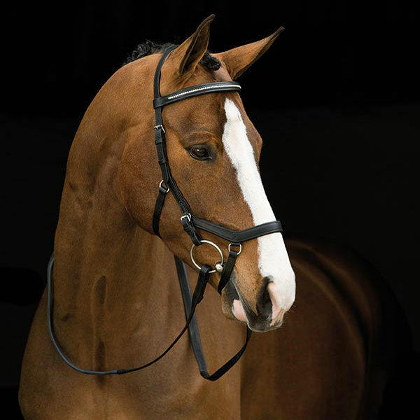 European RAMBO cowhide water reins water reins horse reins water reins riding bridle head high-end BCL321135