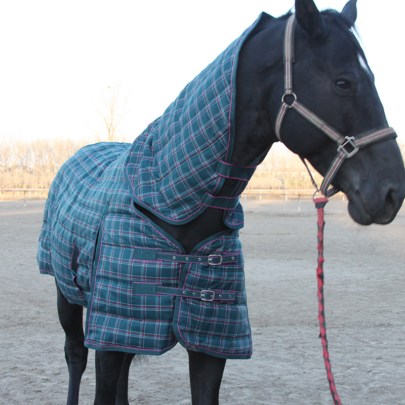Yarn-dyed lattice winter thickened cotton horse clothing winter horse clothing hantu horse 8216047