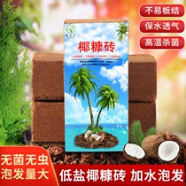 Imported Coconut brick nourishing native flowers Multi-meat special native type Vegetable Soil Bulk plant Coconut Bran