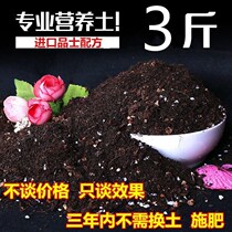 Multimeat Nutritional Soil Organic Cultivation Terra Recipes Exhibition Hall Straight Hair Direct Use No Need To Add