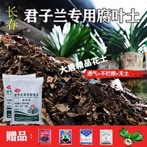 2020 Jun Zlan Special Flower Earth Oak Leaf Organic Soil Nutrient Soil Turquoi Breathable Plant Northeast Acidic Leaves