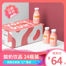 Yogurt low-fat yoghurt for weight loss Special flavor yoghurt Yoghurt Drink Milk Whole Box Normal drinks