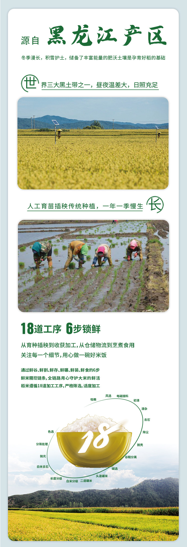 黑龙江直发,港华农业出品:5斤 紫荆春 东北长粒香优质大米 19.9元包邮 值值值-买手聚集的地方