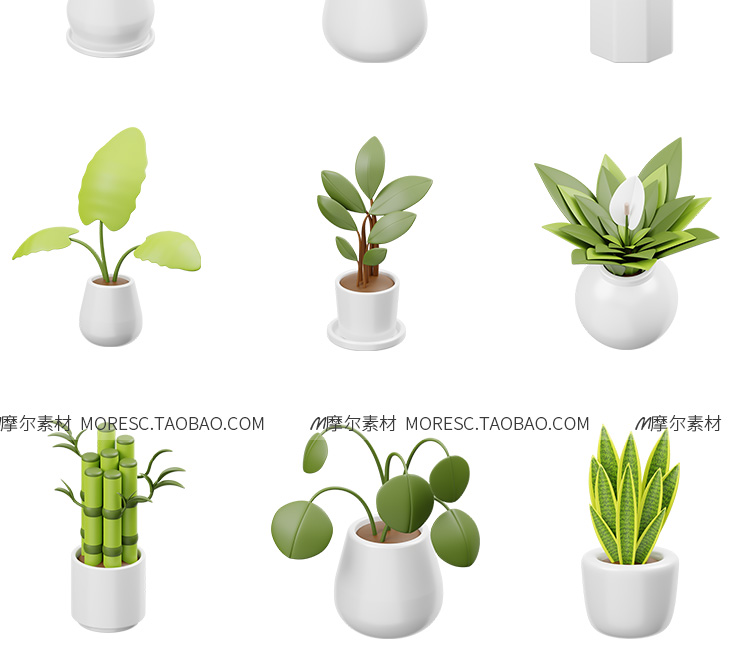 图片[4]-blender卡通植物仙人掌盆栽多肉C4D绿色植物fbx ojb模型素材png  MX556-cg男孩
