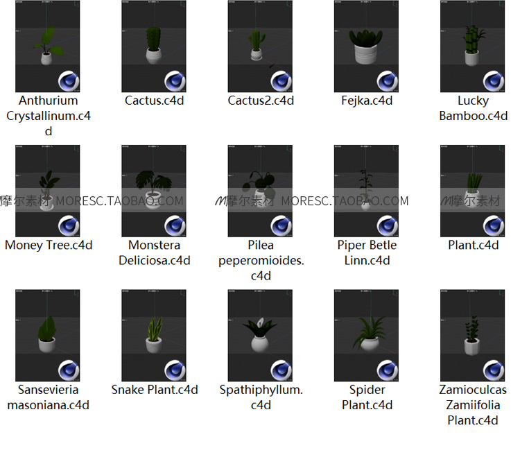 图片[7]-blender卡通植物仙人掌盆栽多肉C4D绿色植物fbx ojb模型素材png  MX556-cg男孩