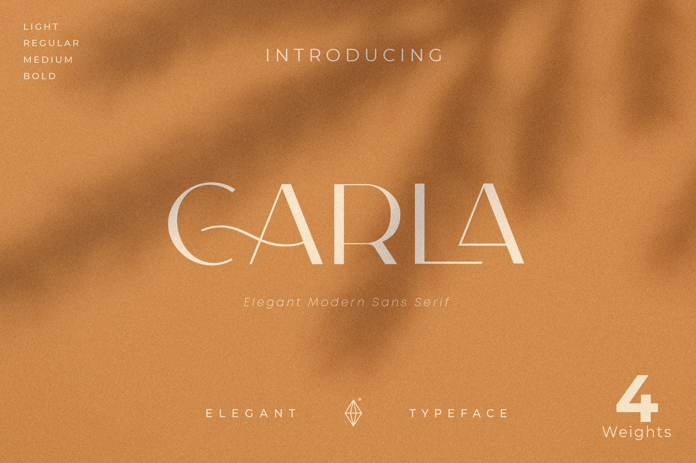 Carla Sans - Elegant Typeface, a Sans Serif Font b.jpg