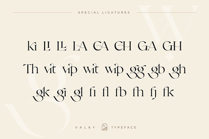 优雅轻奢现代复古品牌Logo标题衬线英文字体设计素材.F2020110202-淘宝网-07.jpg