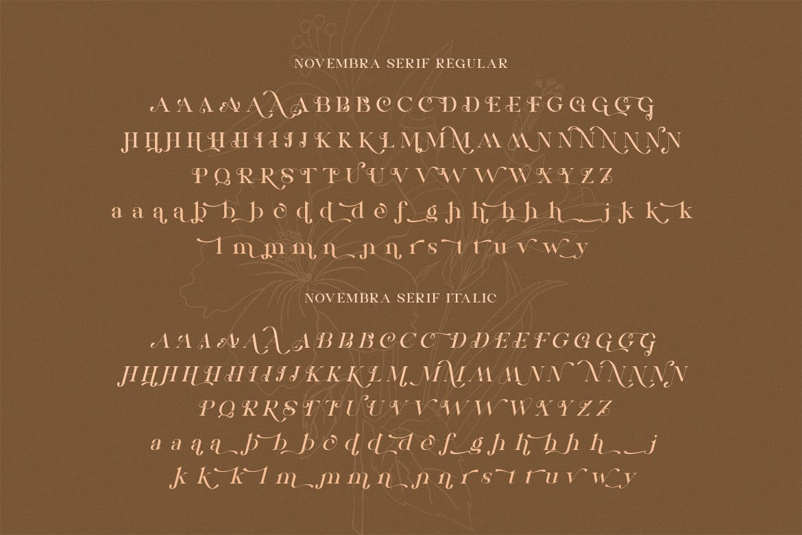 Novembra Serif Font Duo.jpg