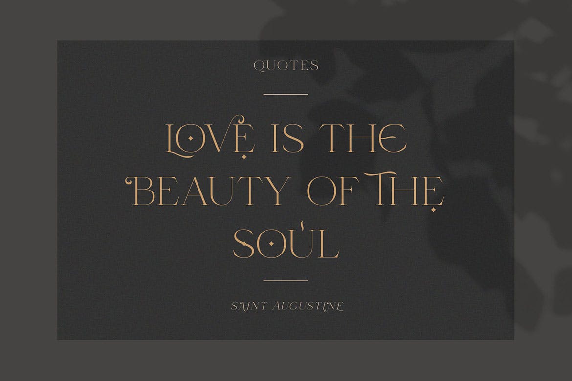Lovalina - Elegant Serif Font Family_6.jpg