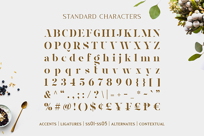 复古优雅品牌Logo海报杂志平面设计衬线英文字体素材.F2020100703-淘宝网-08.jpg