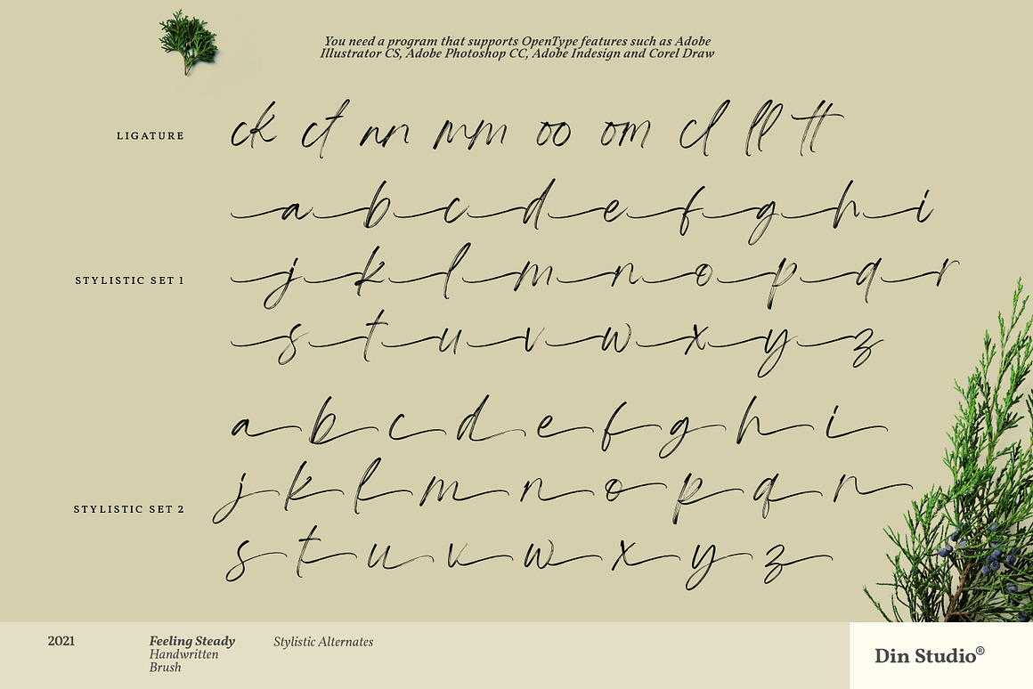 Feeling Steady, a Script Font by din-studio.com Ph.jpg