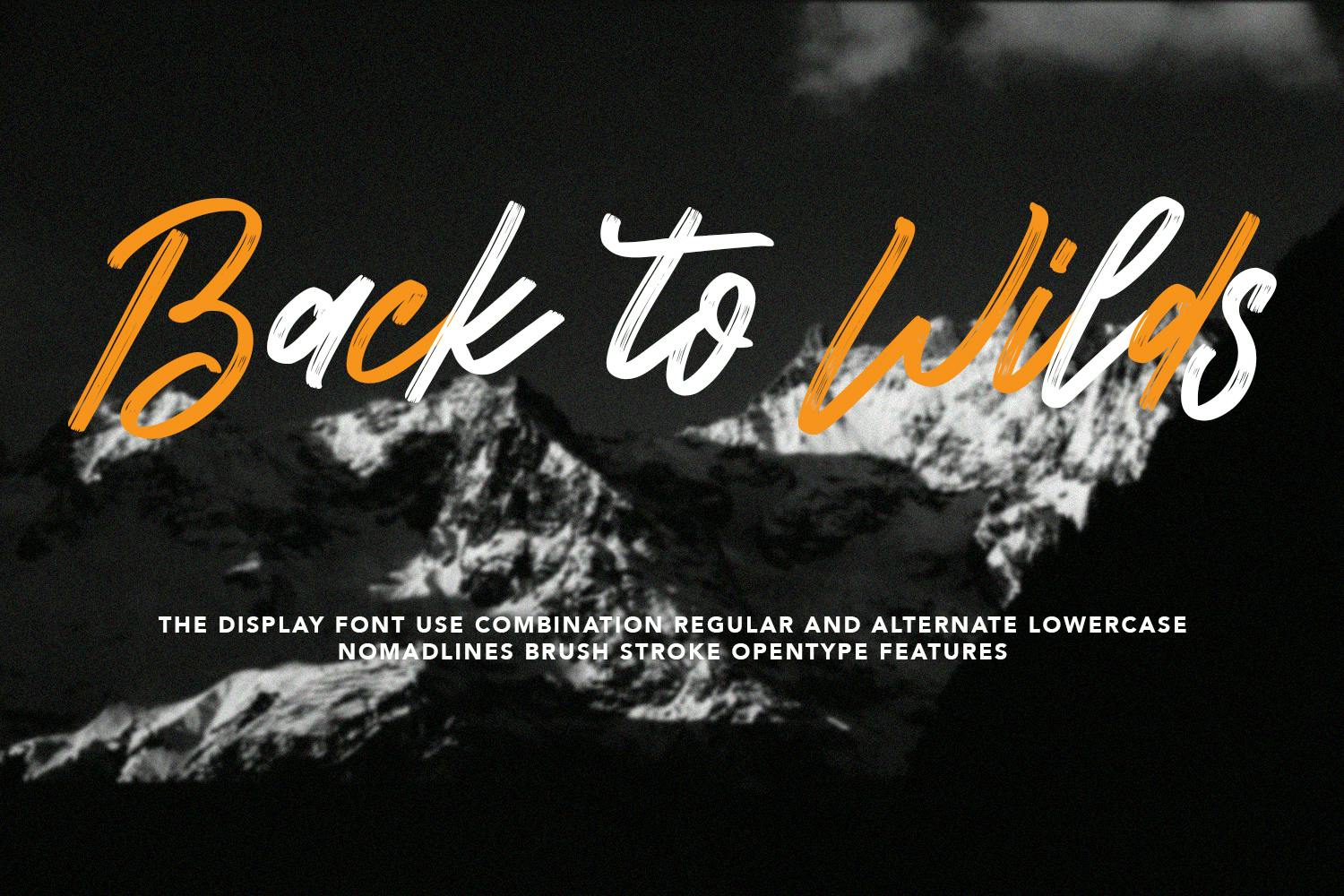 Nomadlines Brush Stroke Script Font.jpg
