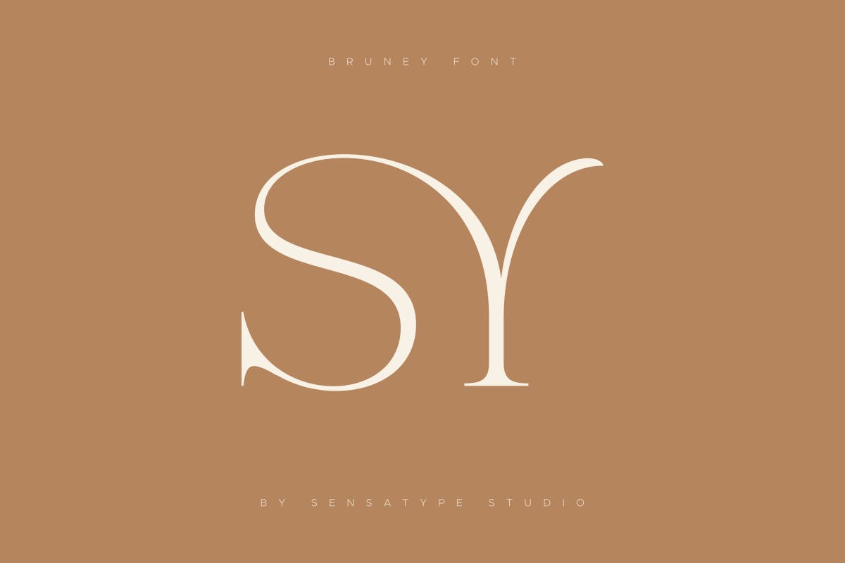 Bruney - Classy Ligature Font-05.jpg