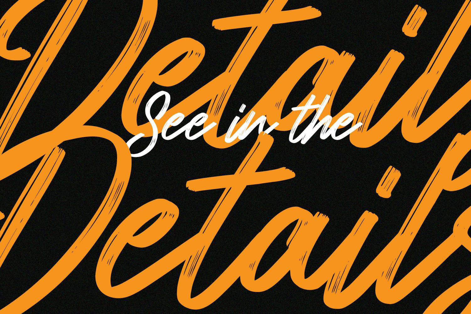 Nomadlines Brush Stroke Script Font_4.jpg