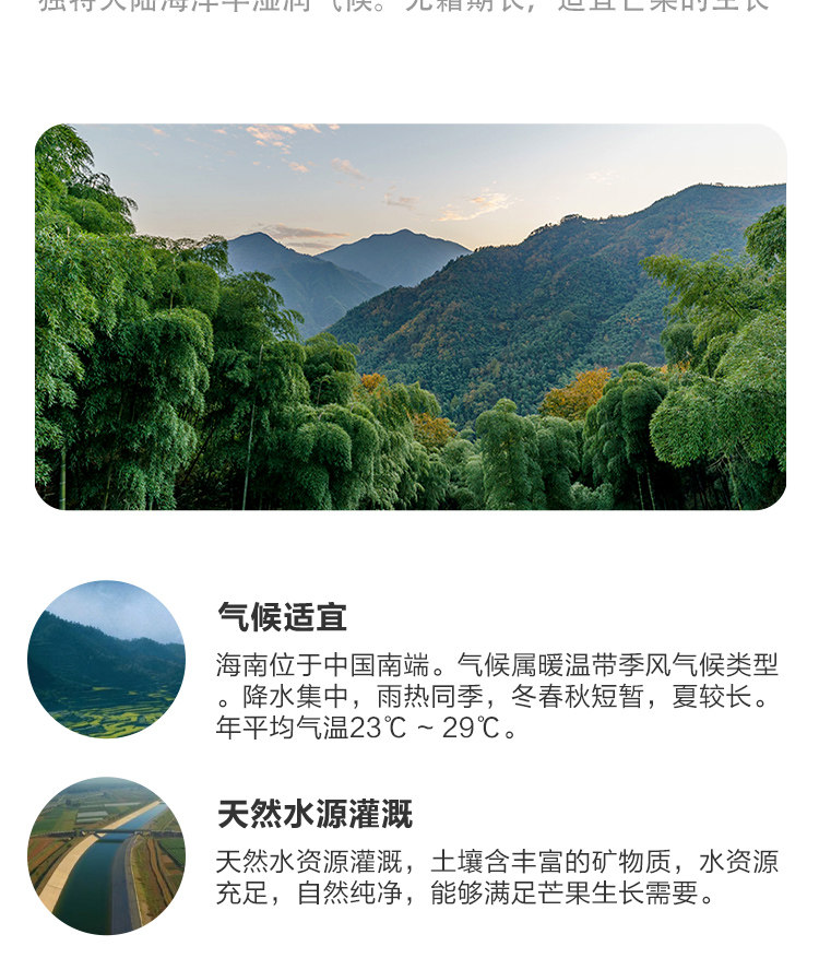 盒马鲜生 海南贵妃芒 2斤 单果70g+ 图7