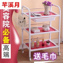 Beauty salon cart makeup nail tattoo embroidery cupping physiotherapy massage storage rack beauty salon special car