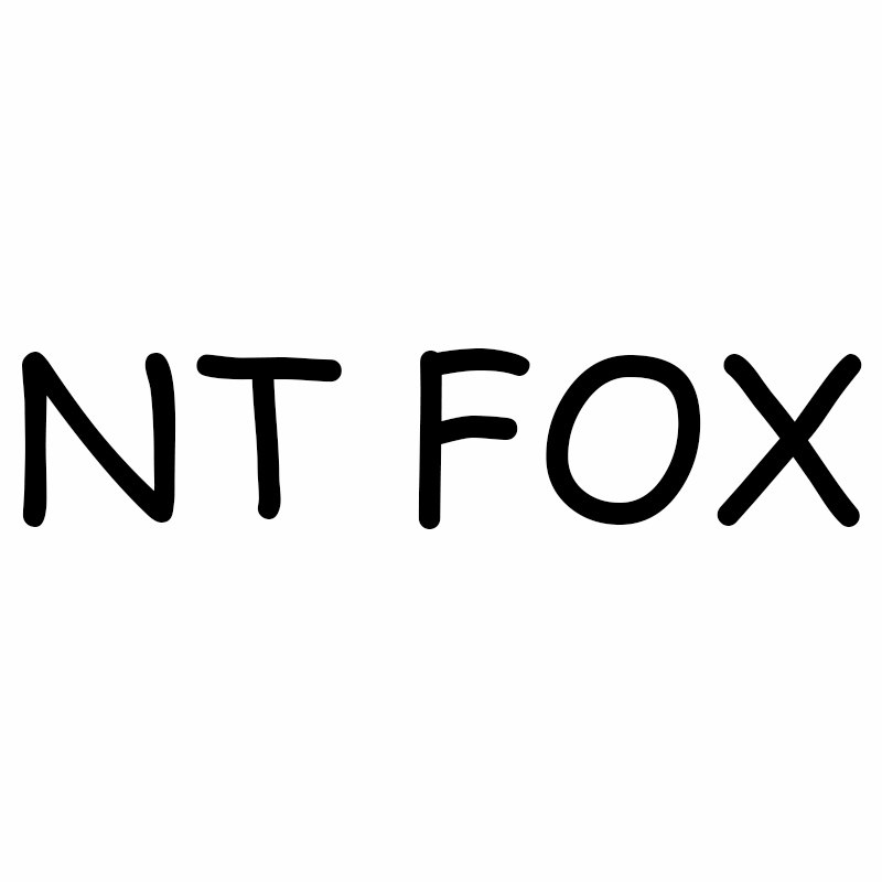 NTFox设计师潮鞋
