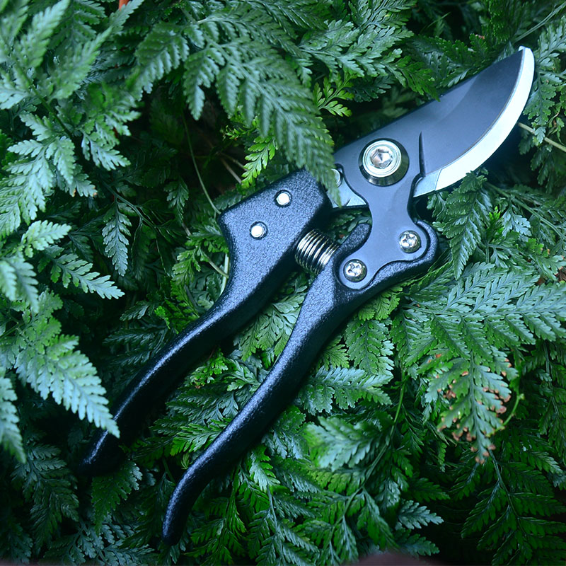 Yijia garden greening household orchard fruit tree branches flowers and grass trimming scissors sk5 labor-saving garden pruning shears